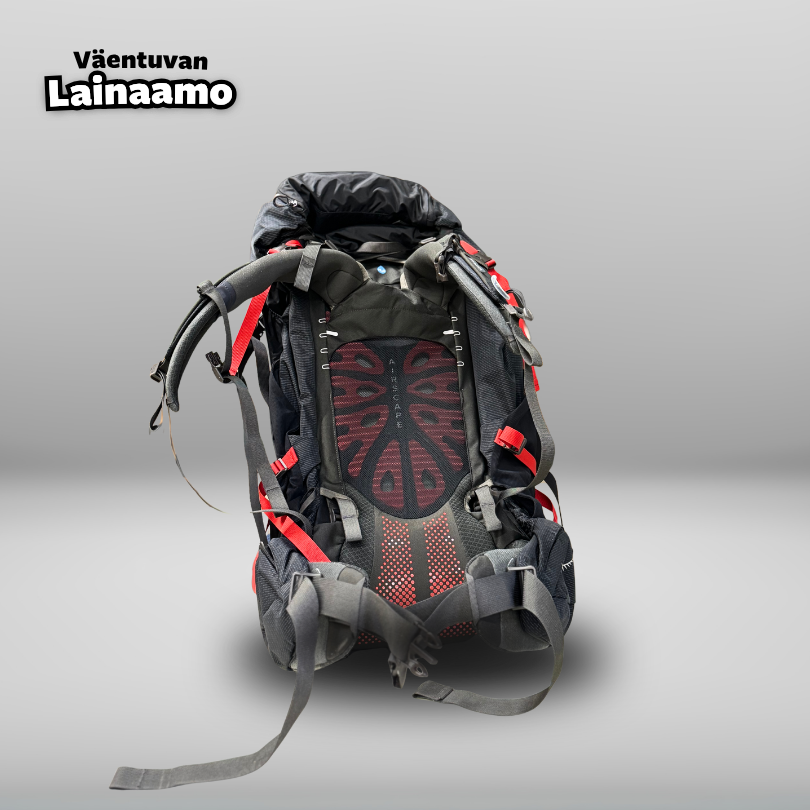 Rinkka, Osprey - Image 2